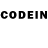 Псилоцибиновые грибы GOLDEN TEACHER Floppy_RU