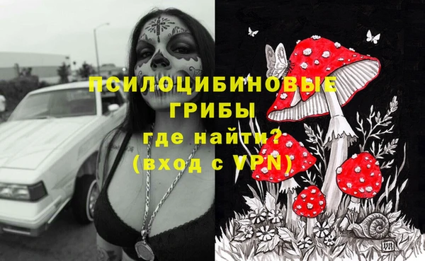 PSILOCYBIN Волосово