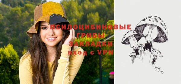 дмт Володарск
