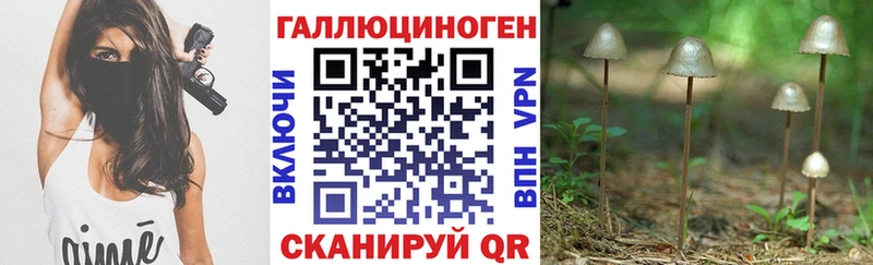 Галлюциногенные грибы Psilocybine cubensis  Грозный 