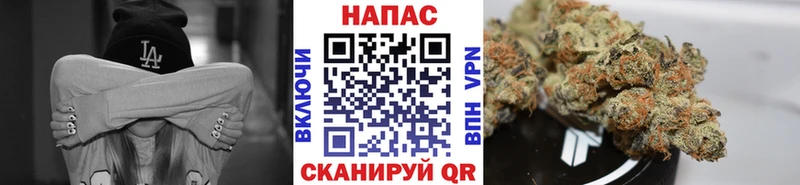 Канабис планчик  Грозный 